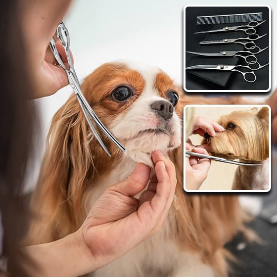 ciseaux-de-toilettage-pour-chien-scissors-chien-ciseaux-bun