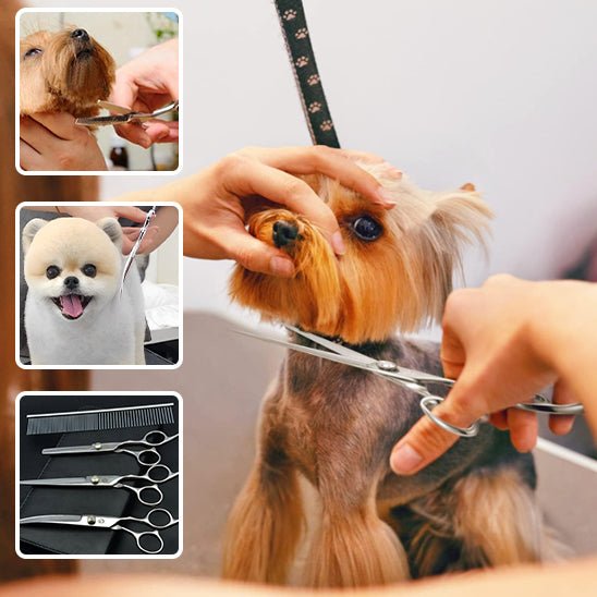 ciseaux-de-toilettage-pour-chien-scissors-chien-ciseaux-noir-brun