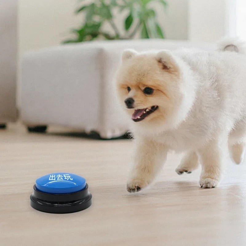 clic-dapprentissage-chien-click-clic-bleu-courir-chien