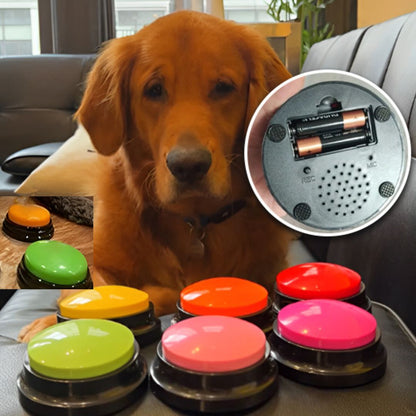 clic-dapprentissage-chien-click-huit-lumière