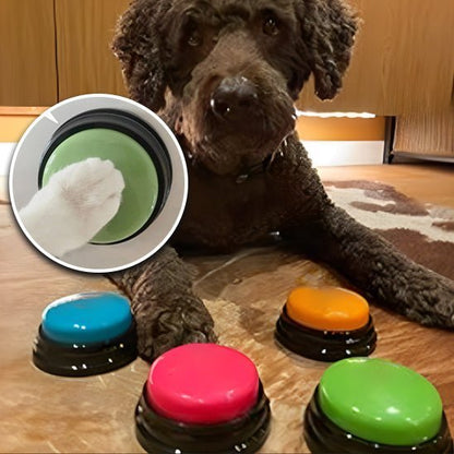 clic-dapprentissage-chien-click-quatre-lumières