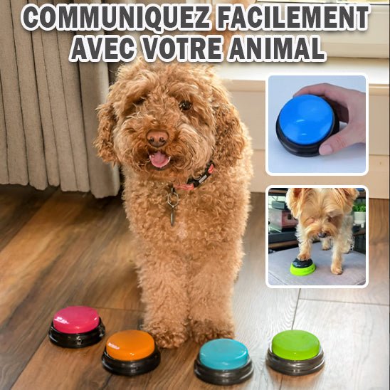 Clic d'apprentissage - click™ - Chien trop content