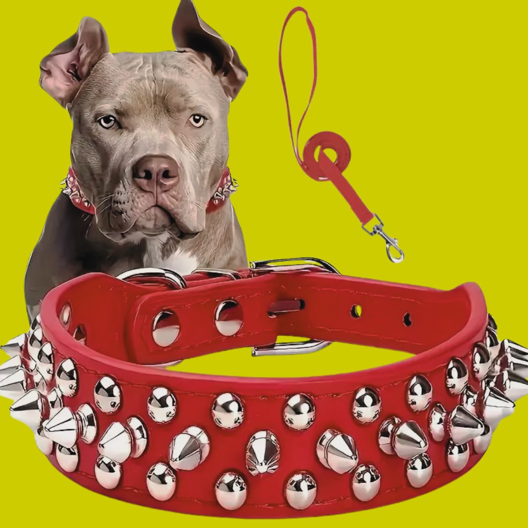 collier-chien-cuir-rouge