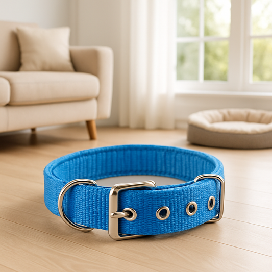 collier-chien-dog-bleu-chien