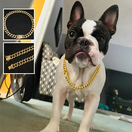 Collier chien | Jewelry™