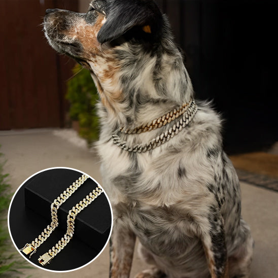 Collier chien | Jewelry™