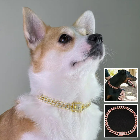 Collier chien | Jewelry™