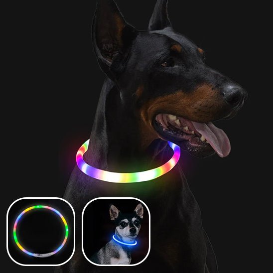 collier-chien-lumineux-lightup-multicolore-bleu-chien