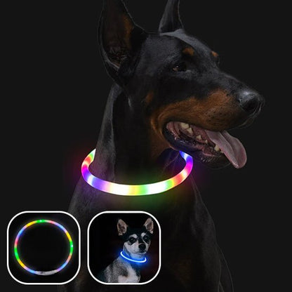 collier-chien-lumineux-lightup-multicolore-bleu-chien