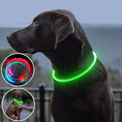 collier-chien-lumineux-lightup-vert-noir-chien