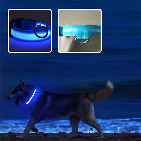 collier-lumineux-chien-lightcollar-la-couleur-bleu