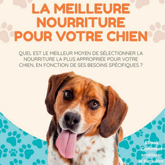 comment-choisir-la-meilleure-nourriture-pour-votre-chien