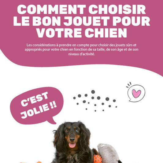 comment-choisir-le-bona-jouet-pour-votre-chien