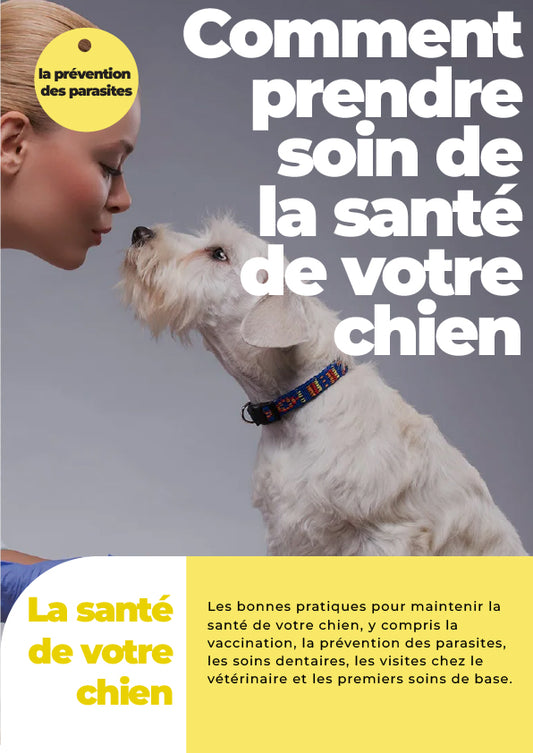 comment-prendre-soin-de-la-sante-de-votre-chien