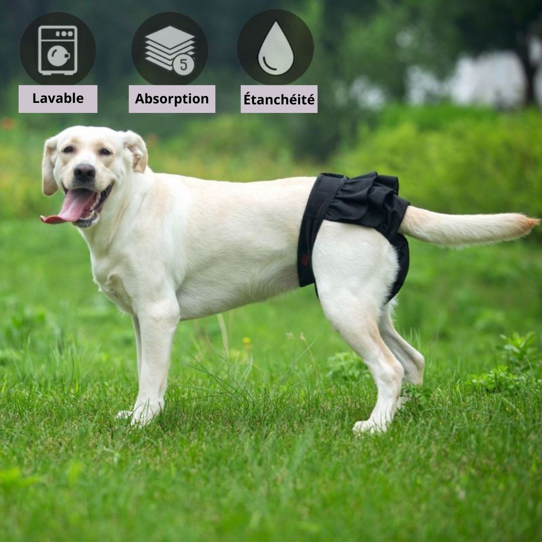 couche-pour-chien-dognap-chien-noir