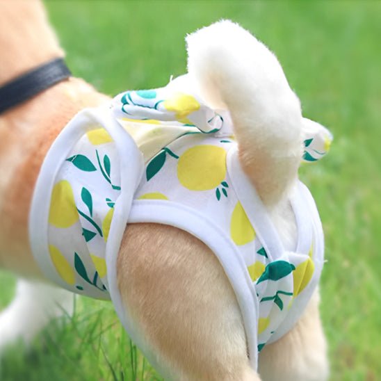 couches-chiens-dogpy-chien-jaune-vert