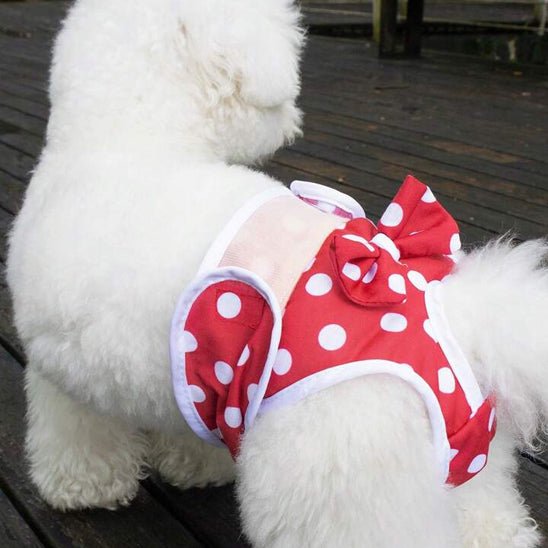 couches-chiens-dogpy-chien-rouge