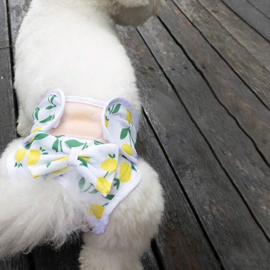 couches-chiens-dogpy-chien-vert-jaune-blanc