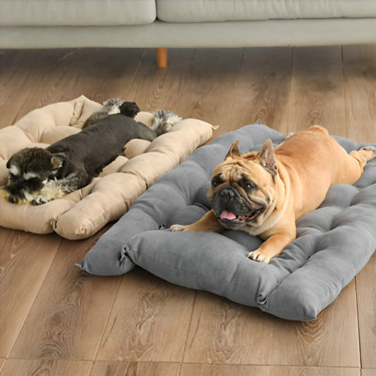 coussin-chien-canshion-gris-brun-coucher-chien