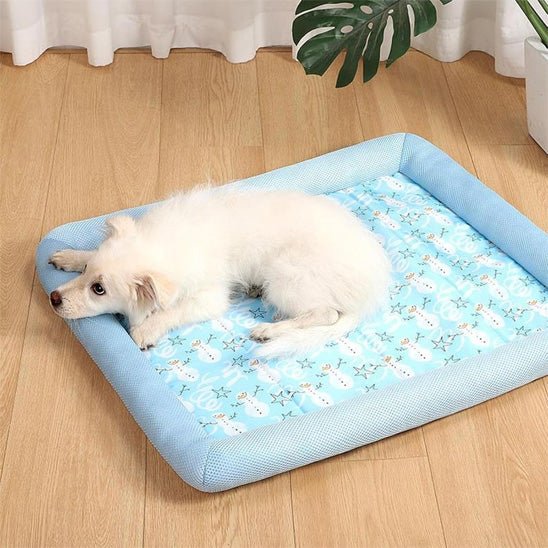 coussin-chien-cushions-chien-blanc-bleu