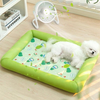 coussin-chien-cushions-chien-blanc-vert