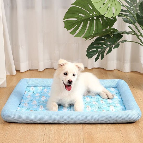 coussin-chien-cushions-chien-bleu