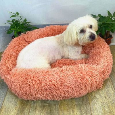 Coussin chien déhoussable DogCushion orange chien