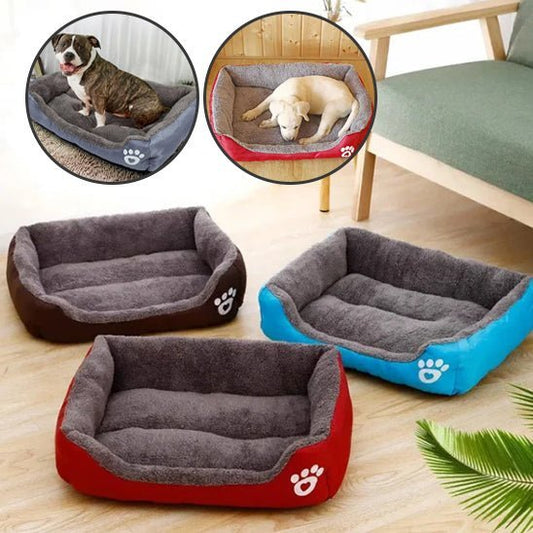 Coussin chien - DogCushions™ - Chien trop content