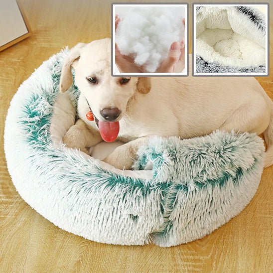 Coussins pour Chien - Pillows Dog™ - Chien trop content