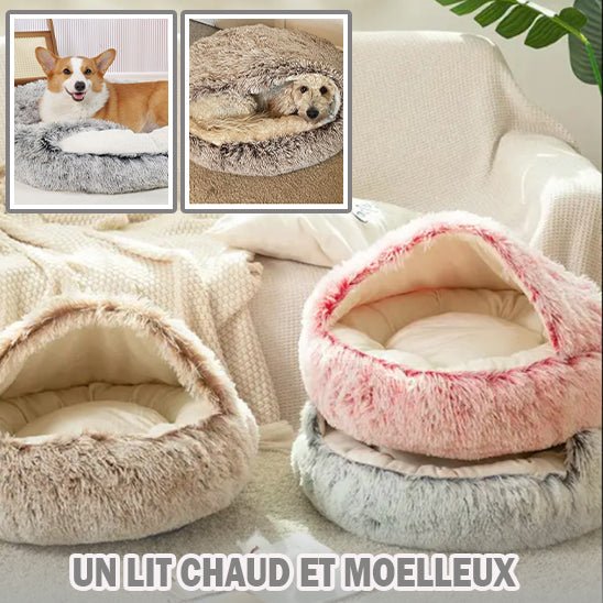 Coussins pour Chien - Pillows Dog™ - Chien trop content