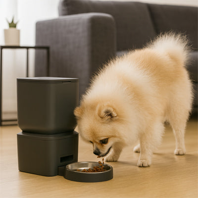 Distributeur automatique croquettes peder noir, brun, bol