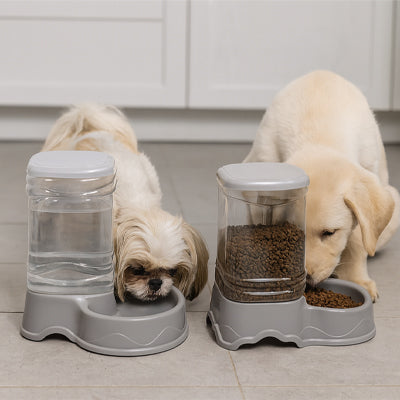 Distributeur croquette chien automa gris deux chiens