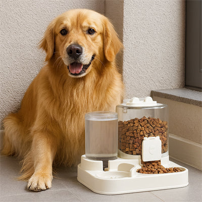 Distributeur croquette chien autoprogram brun regarde chien