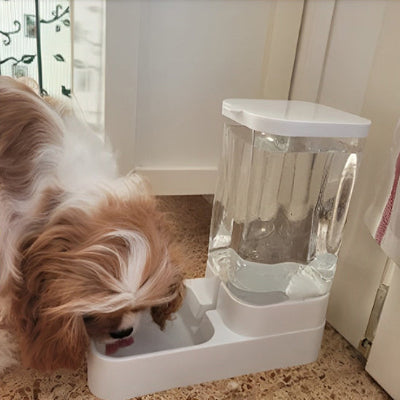 Distributeur de croquettes petpro boire eau chien