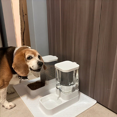 Distributeur de croquettes petpro nourriture eau double chien