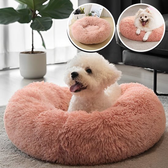 Fauteuil Chien - DogArmchair™ - Chien trop content