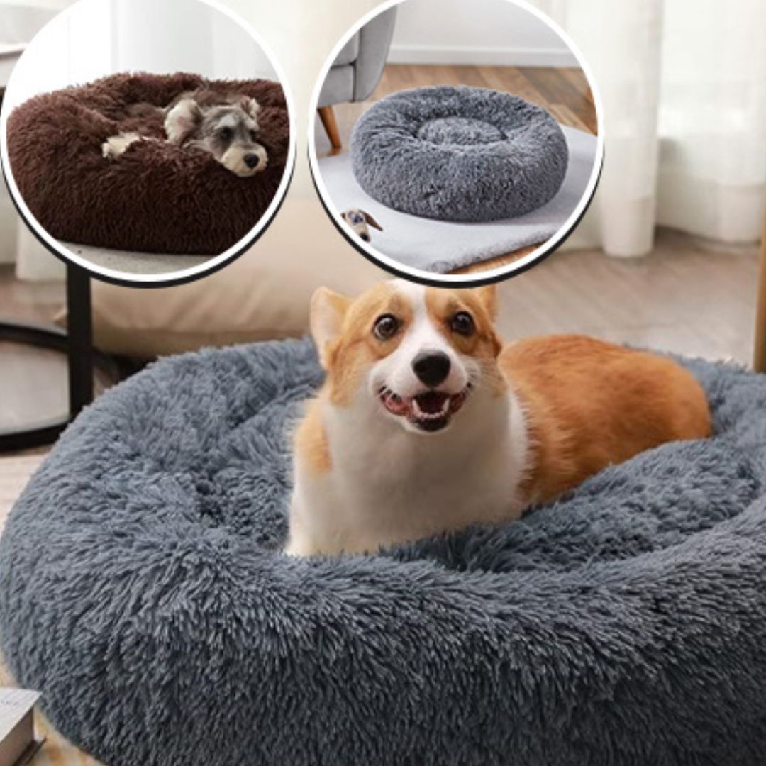 Fauteuil pour Chien - DogChair™ - Chien trop content