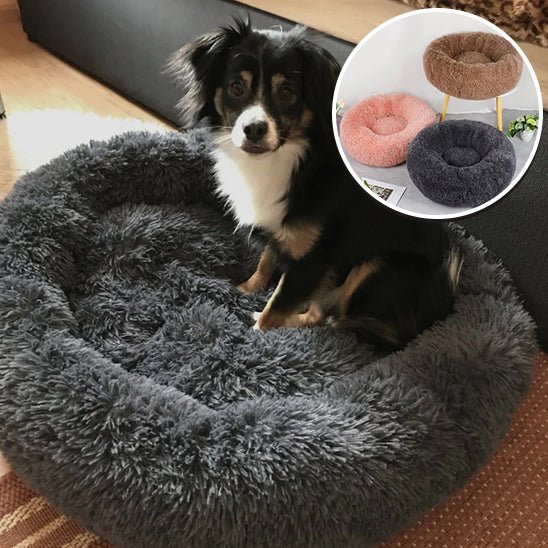 fauteuil-pour-chien-dogchair-quatre-couleur
