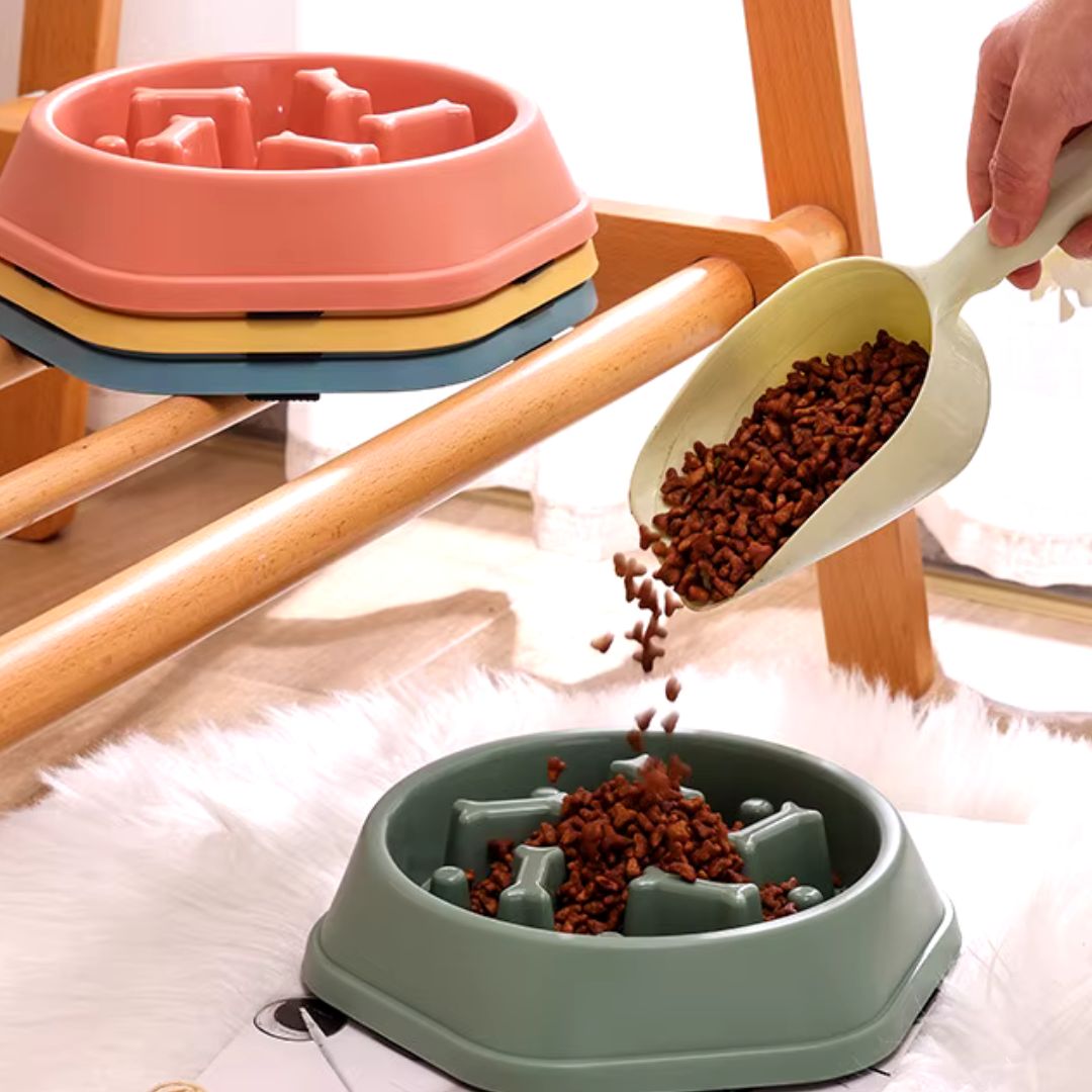 gamelle-anti-glouton-antibowl-bleu-jaune-rose-chien