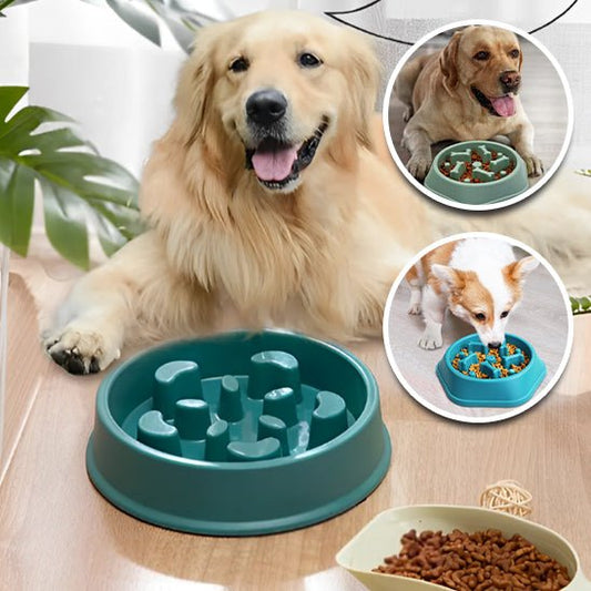 gamelle-anti-glouton-antibowl-bleu-vert-gris-chien
