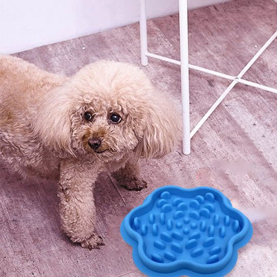 gamelle-anti-glouton-chien-antiglou-chien-bleu