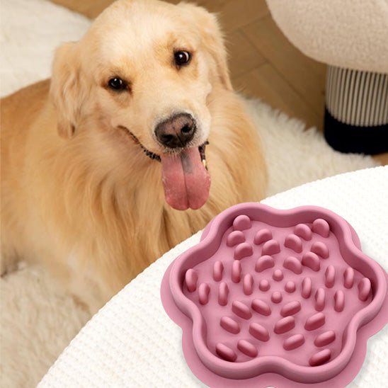 gamelle-anti-glouton-chien-antiglou-chien-brun-rose