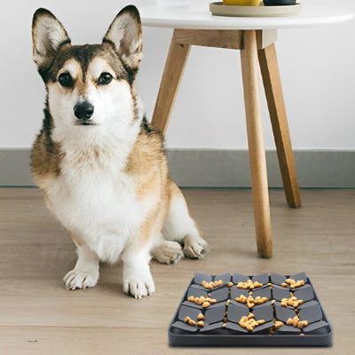 Gamelle anti glouton chien gamglou noir carré