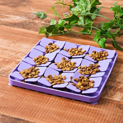 Gamelle anti glouton chien gamglou violet carré