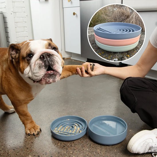 Gamelle anti glouton - GluttonBowl™ - Chien trop content