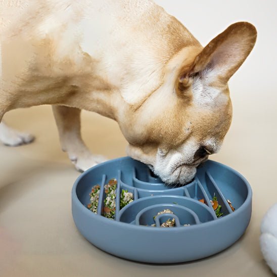 Gamelle anti glouton - GluttonBowl™ - Chien trop content