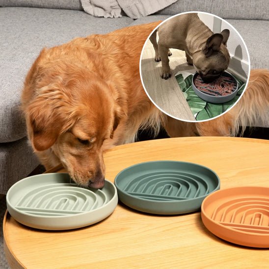 Gamelle anti glouton - GluttonBowl™ - Chien trop content