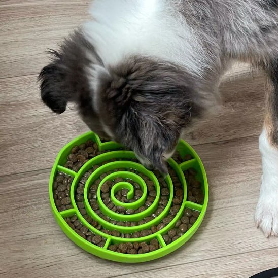 Gamelle anti glouton - GluttonBowl™ - Chien trop content