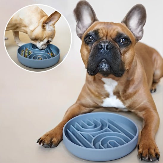 Gamelle anti glouton - GluttonBowl™ - Chien trop content