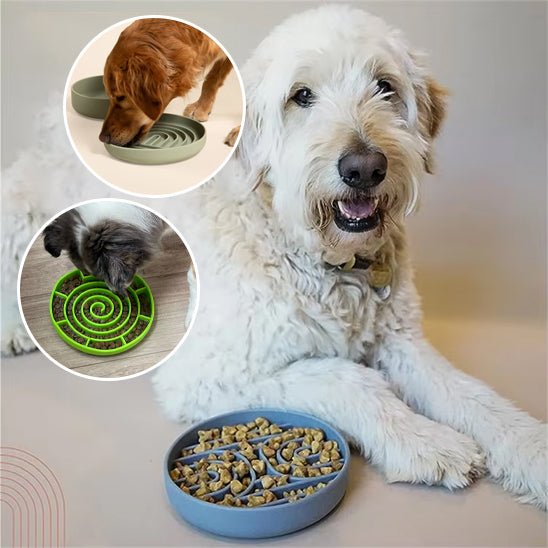 Gamelle anti glouton - GluttonBowl™ - Chien trop content